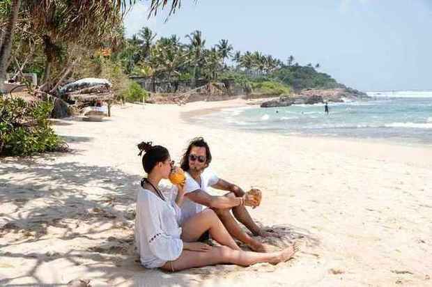 Fresh coconuts on the beach