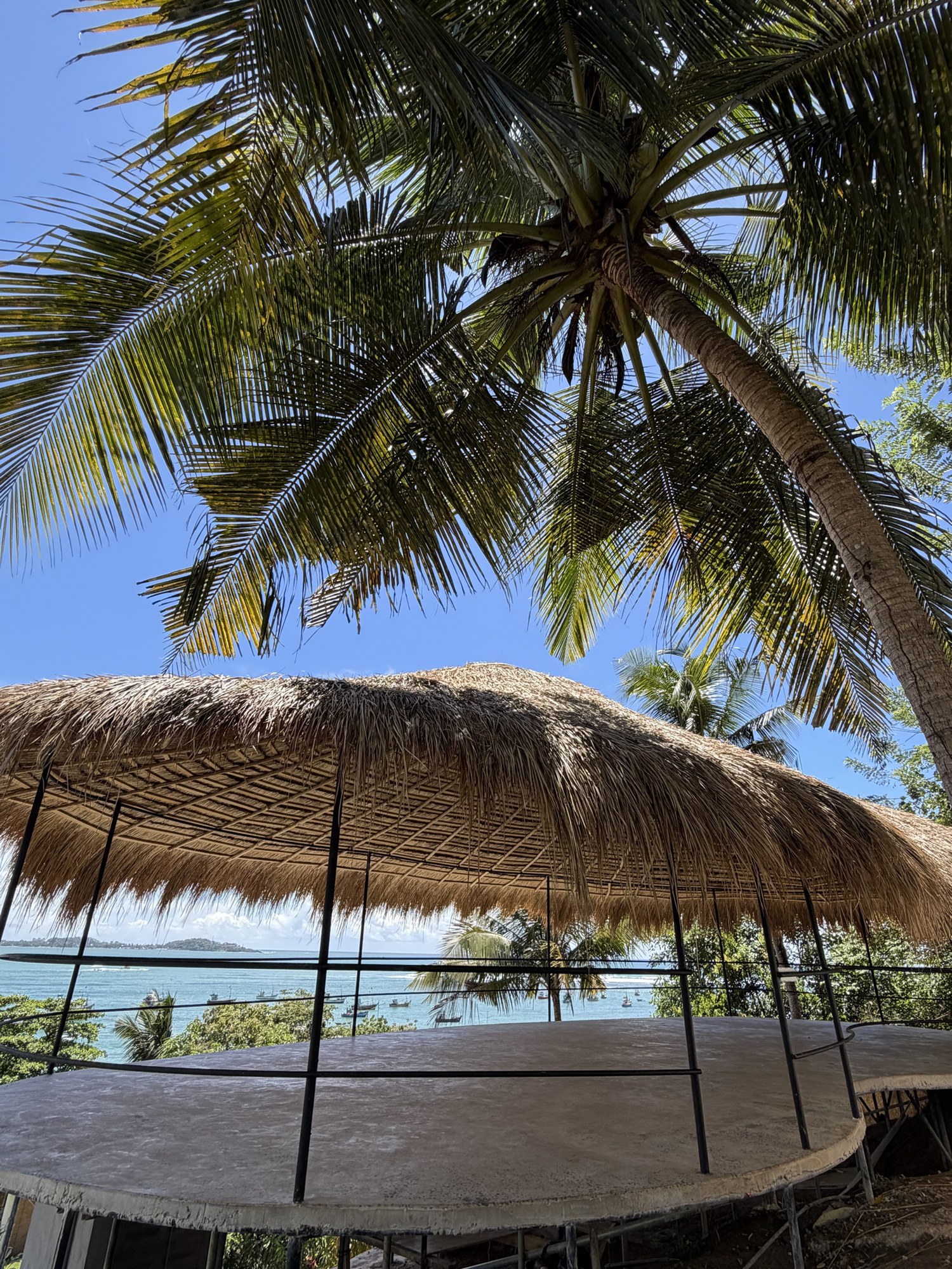 The shala roof under a coconut palm, Weligama Bay behind