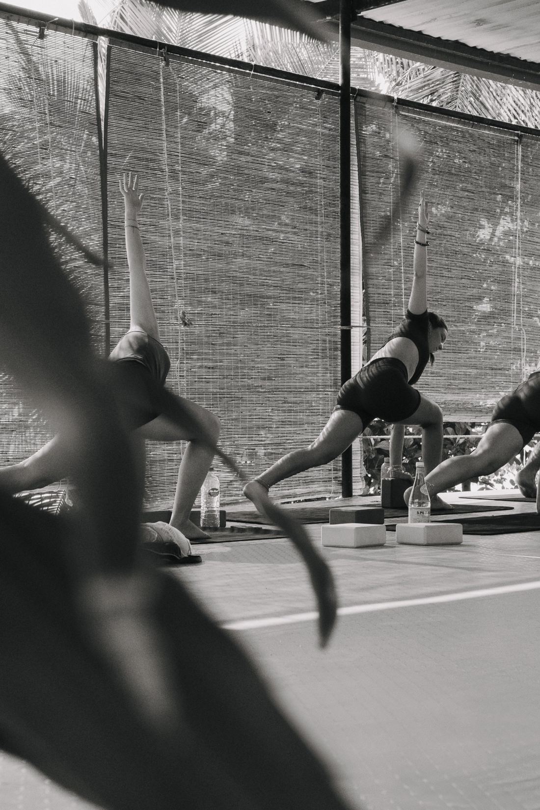 Low lunge through the bamboo, in black and white
